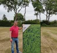 groene zonnepanelen