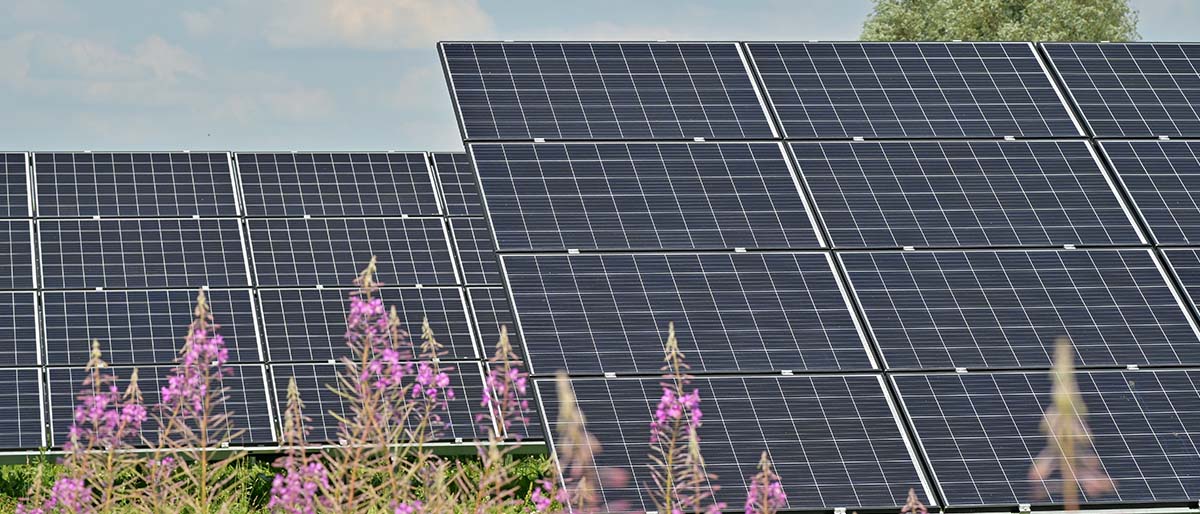 beste energieleverancier bij zonnepanelen