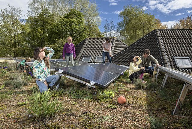 zonnepanelen online