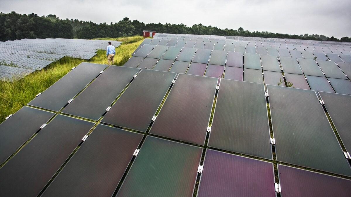 de zonnekoning zonnepanelen