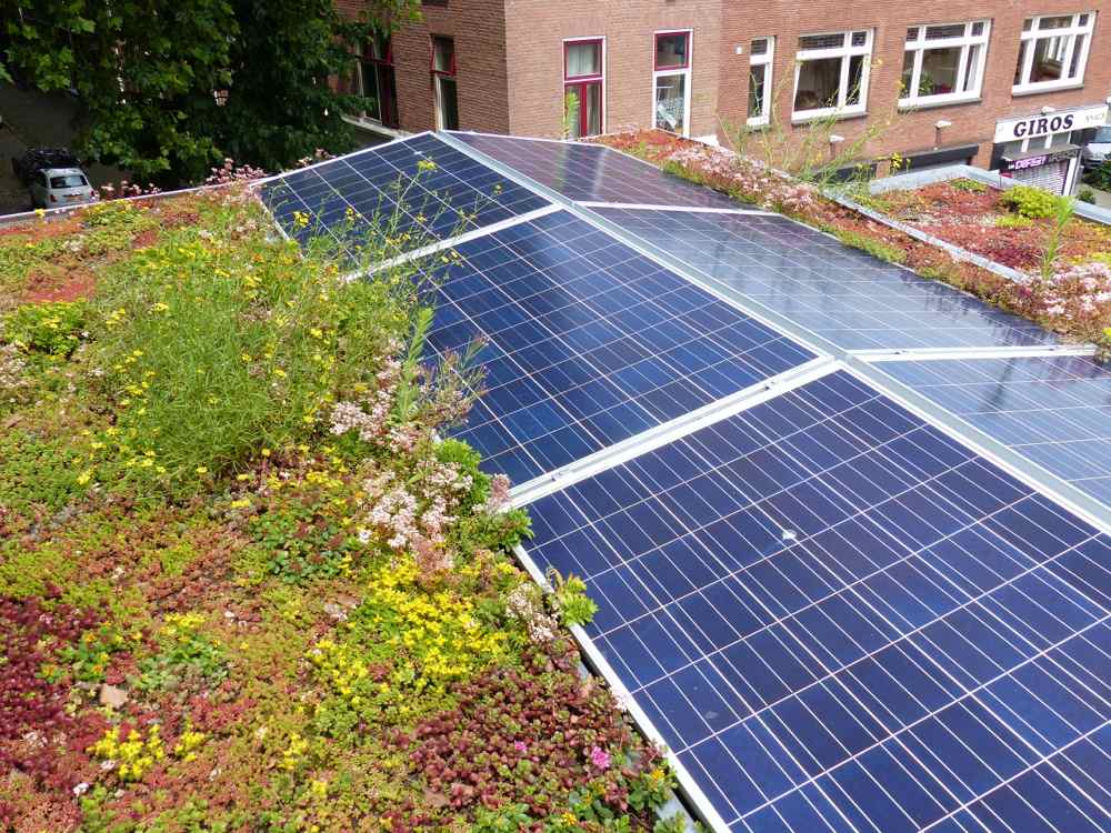 groen dak zonnepanelen