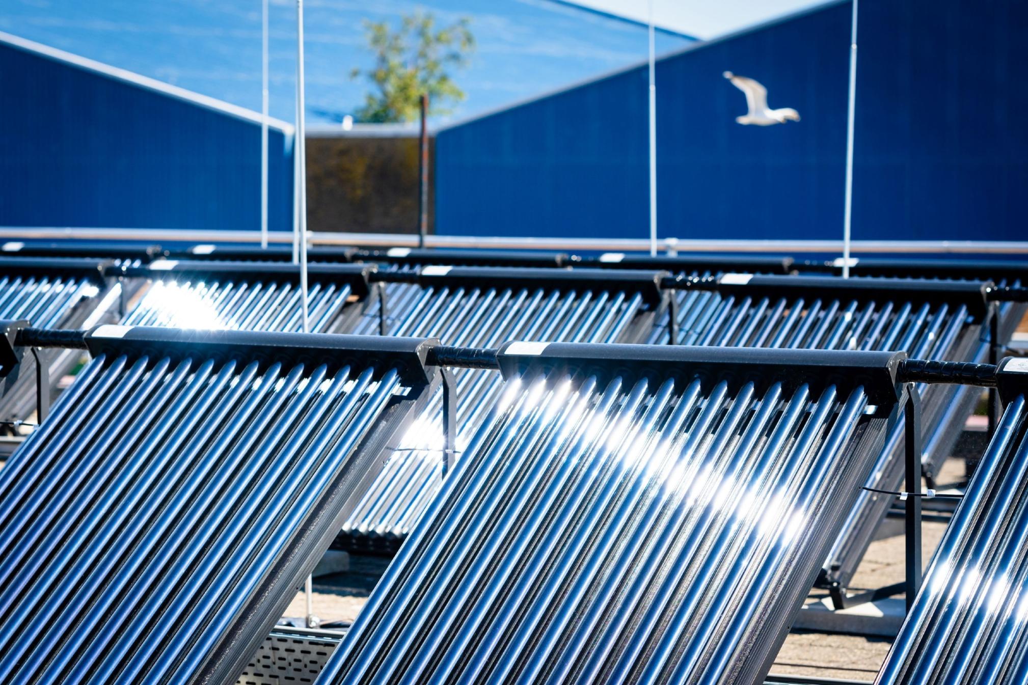 rvo zonnepanelen